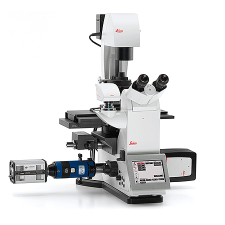 Инвертированный микроскоп Leica DMi8 for Ratio Imaging Инвертированный микроскоп Leica DMi8 for Ratio Imaging